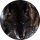 Tipster kasvik