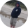 Tipster Adam Dyzma