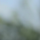 Tipster ozoemenachidera78