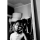 Tipster Itz_Dxn