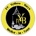 Yellow Boys Weiler-L-t
